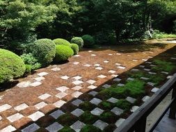 garden near a temple in japan, kyoto