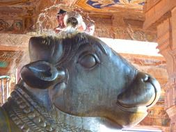 Bull temple in India