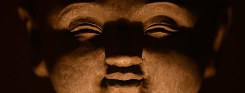 buddha head in the dark