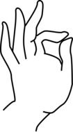 female hand gesture on a white background