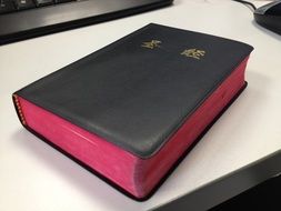 holy bible China