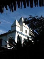 church behind green plants in brazil