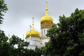 the domes of the Russian church behind the trees