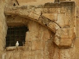 temple wall