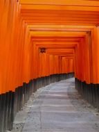 orange arch in japan