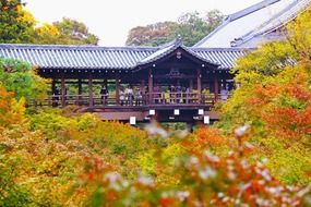 tofukuji shrine temple