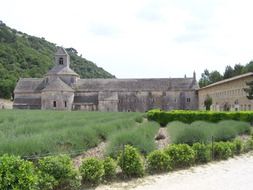Abbey of SÃ©nanque amid the scenic landscape of France