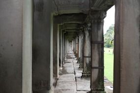 the temple of Angkor Wat Cambodia