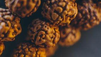bodhi seeds for meditation