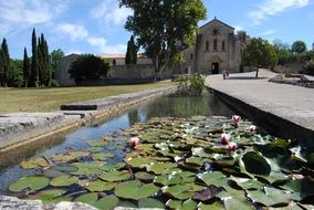 Silvacane France monastery abbey