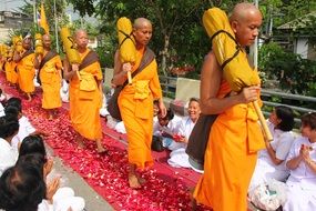 The passage of Buddhist monks along the path from the petals of roses