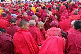 Buddhism monks
