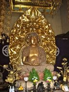 Golden Buddha in Japan