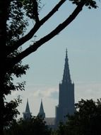 photo of the ulm cathedral in Munster