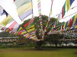 prayer flags among green meadows
