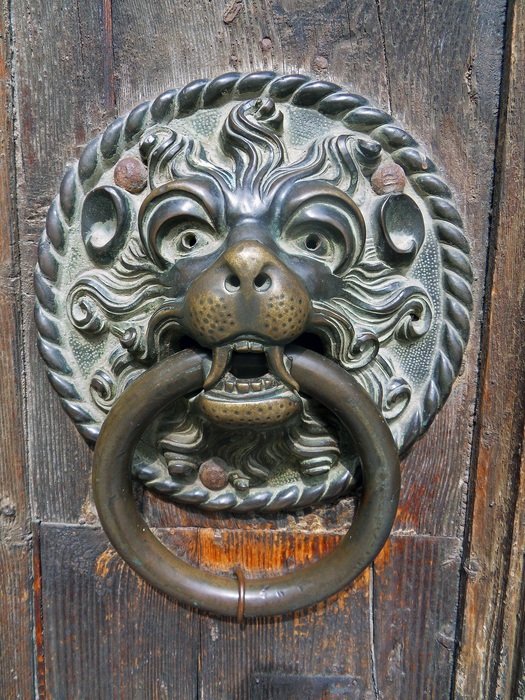door lion