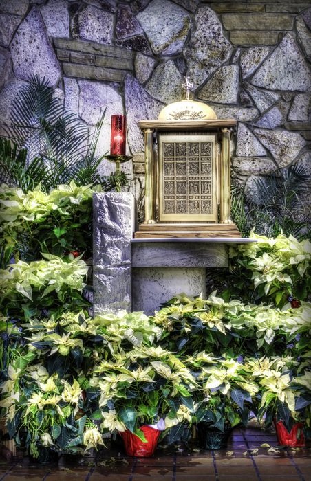 photo of the tabernacle