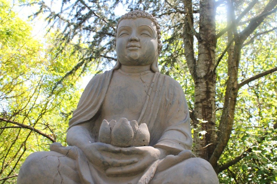 buddha statue near tree