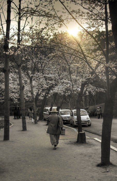monk at the sunset