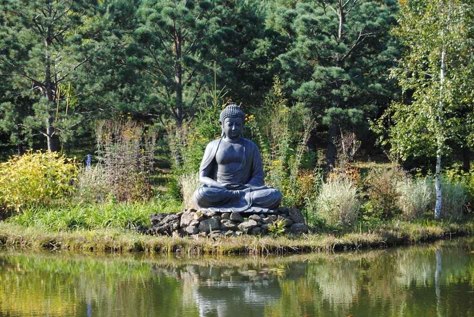 buddha near дфлу