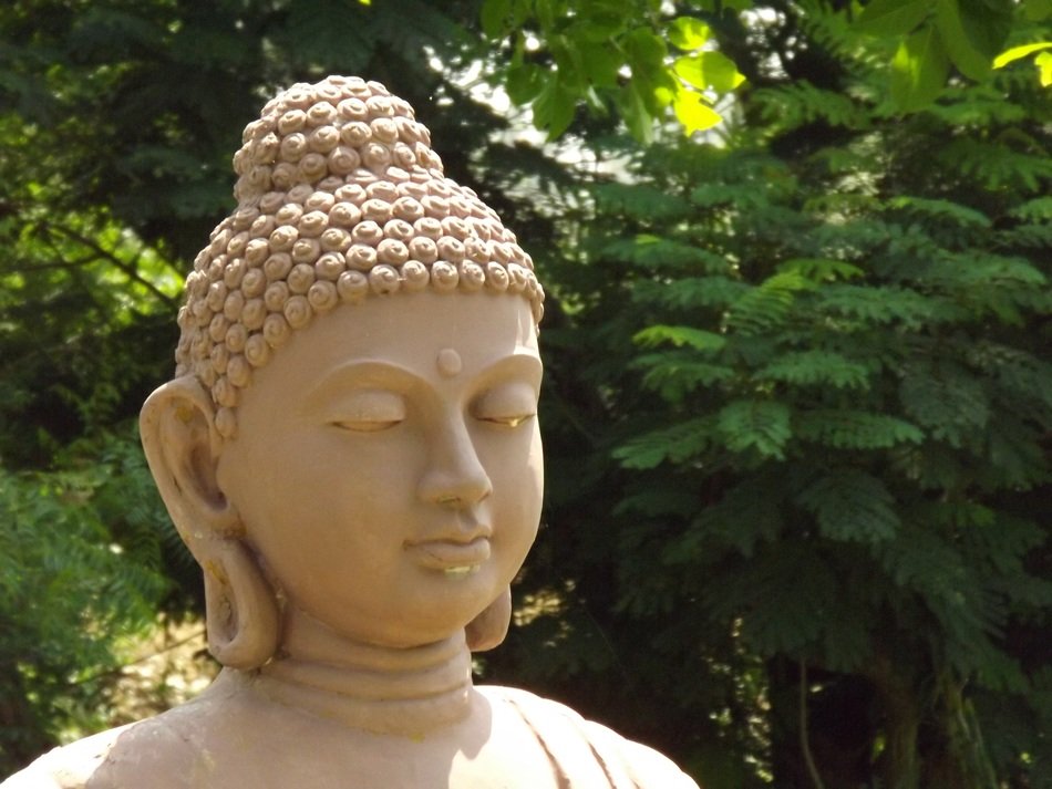 buddha head statue in a garden