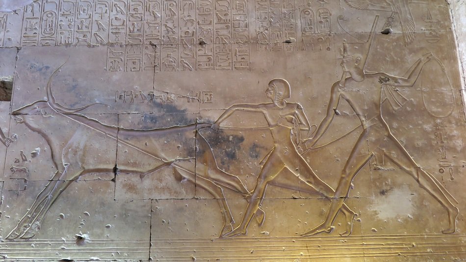 amun her kepshef