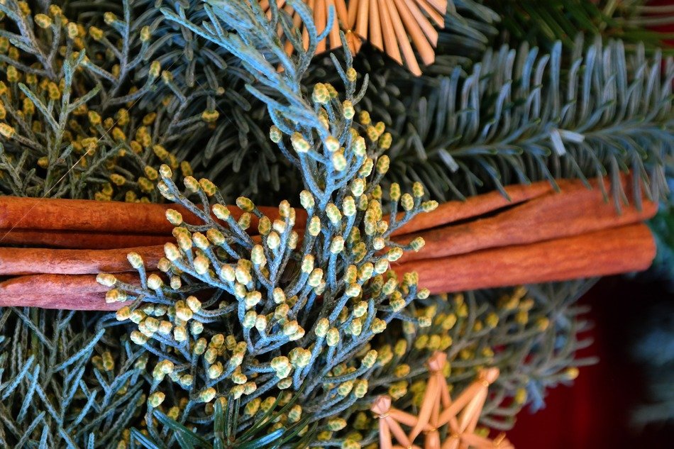 closeup of advent wreath
