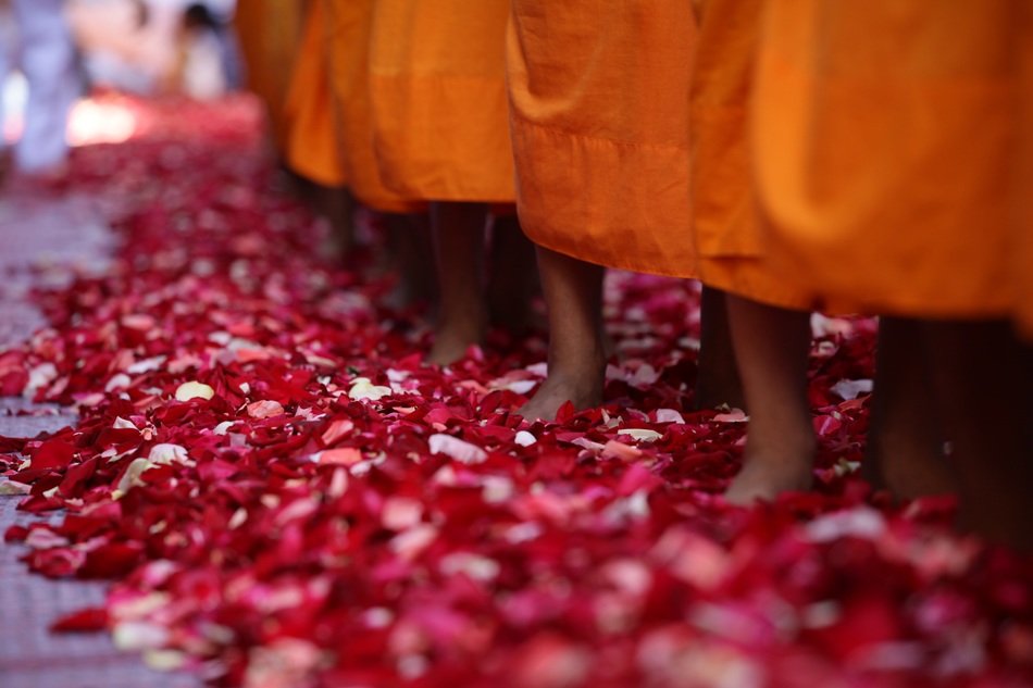 monks legs in the rose petals