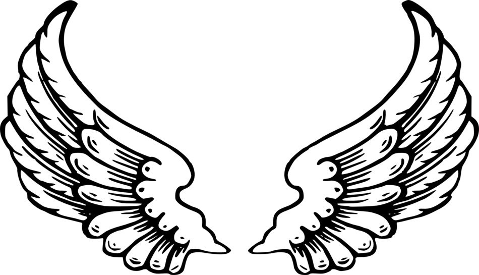 poto of the angel wings