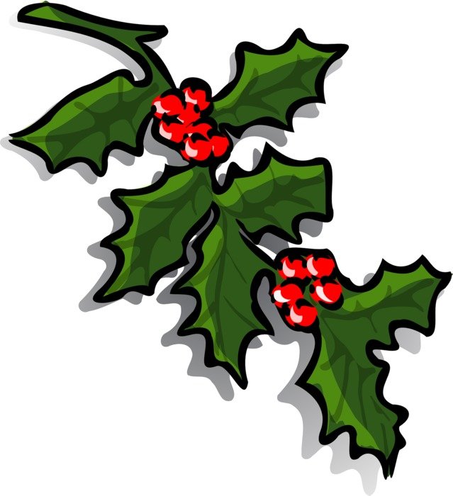 holly berry on a white background