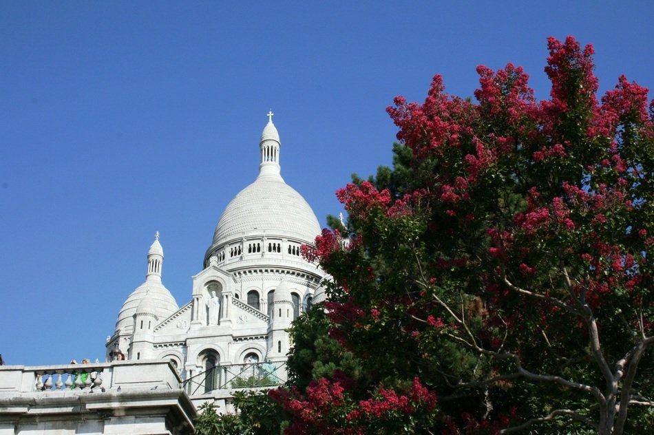 dome of the church behind the green bush