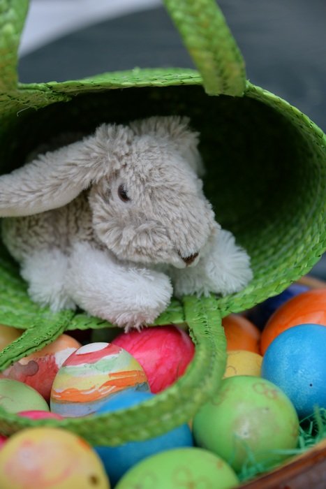 teddy bunny in the basket and colored eggs