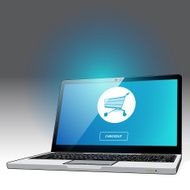 Laptop website shopping