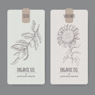 Organic sunflower and olive oil label templates