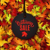 Autumn sale price tag label advertising vector illustratio autumn leaves