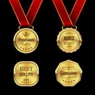 Golden labels vector N6