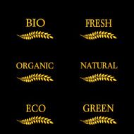 Organic Seals 4
