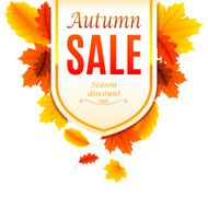 Autumn sale banner N3