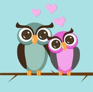 owls N13