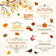 Vector Thanksgiving Design Elements