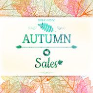 Autumn Sale EPS 10 N2