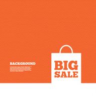 Big sale bag sign icon Special offer symbol N11