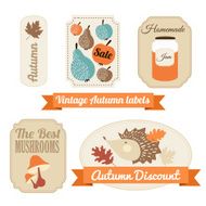 Set of vintage autumn fall labels tags stickers vector