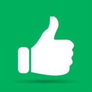 Like icon Flat design style modern vector illustration N13