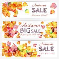 Autumn sale banner N4