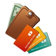 wallet and credit cards N2