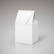 white cardboard carry bag packaging N2