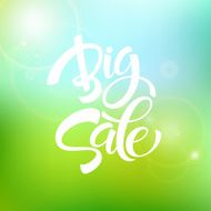 Big Sale Inscription Calligraphy Lettering Vector illustration N15
