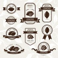 Lemon labels collection