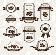 Blueberry labels collection N2